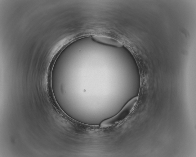 X0000113140340200909181734