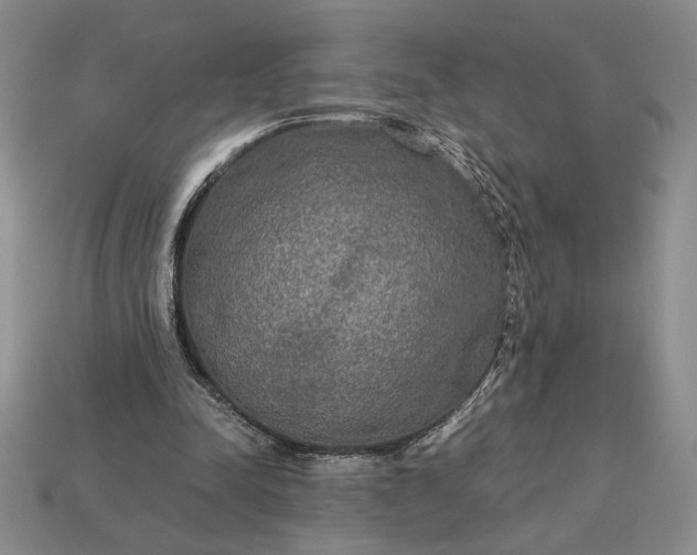 X0000113140342200909181734