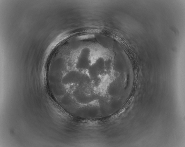 X0000113140343200909181734