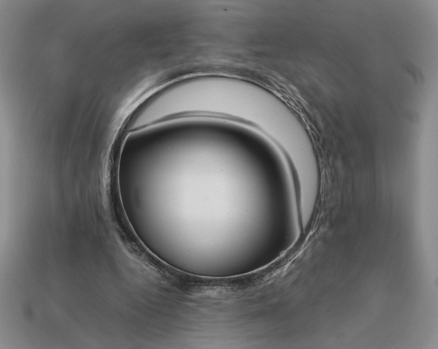 X0000113140344200909181734