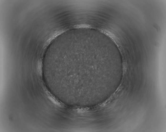 X0000113140345200909181734