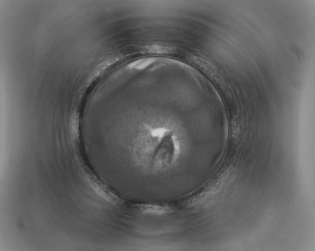 X0000113140347200909181734