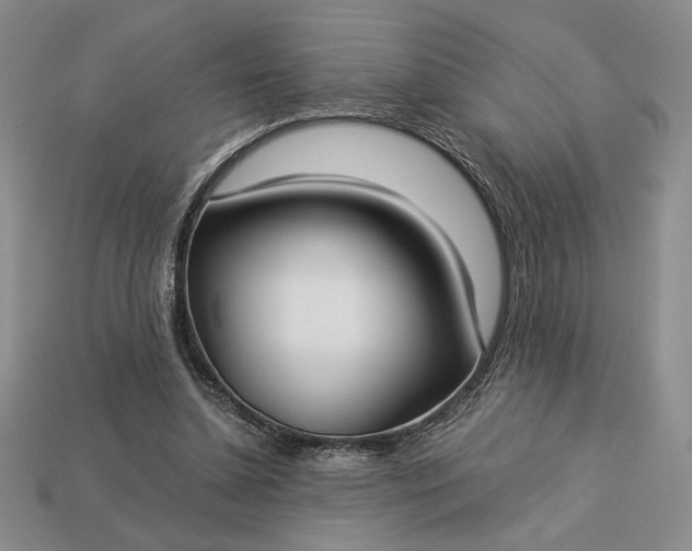 X0000113140348200909181734