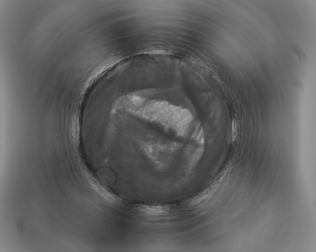 X0000113140349200909181734