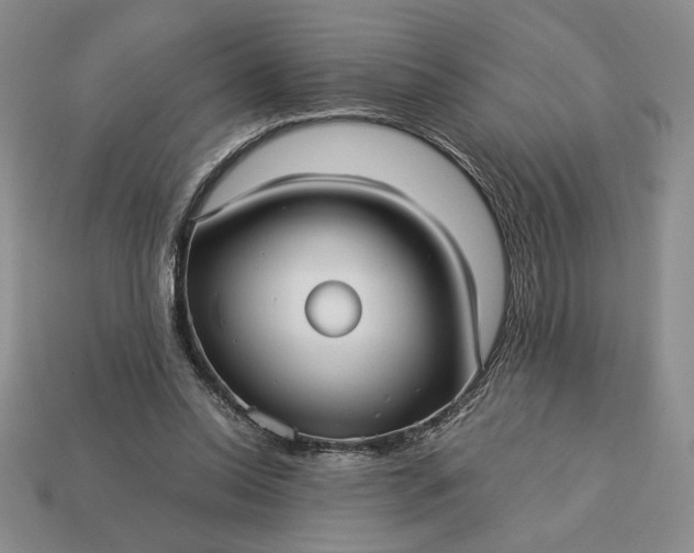 X0000113140350200909181734