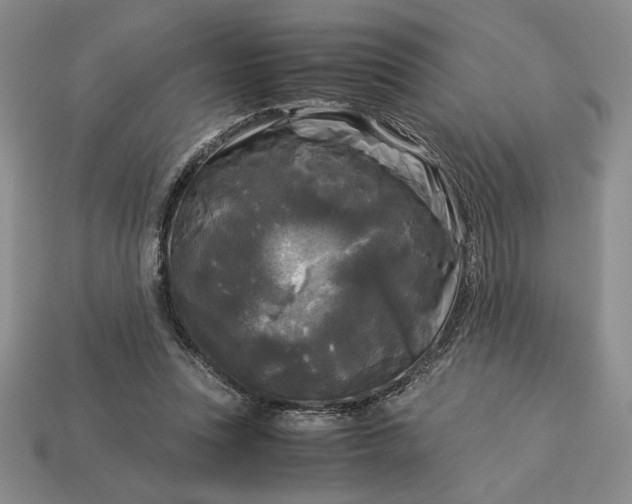 X0000113140351200909181734