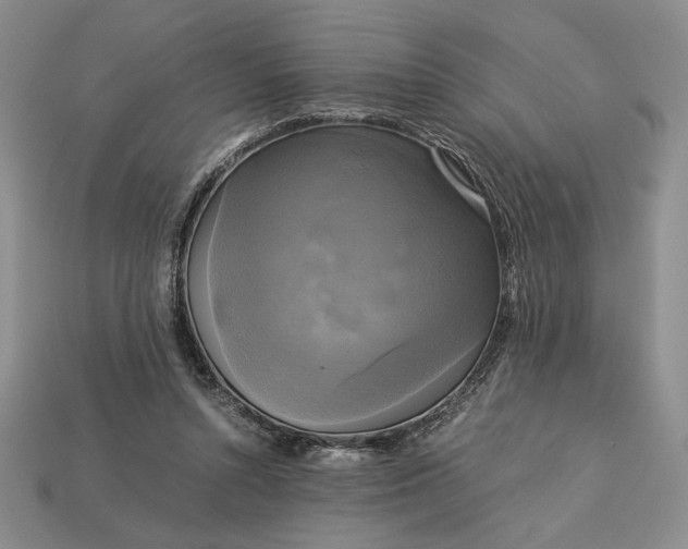 X0000113140352200909181734