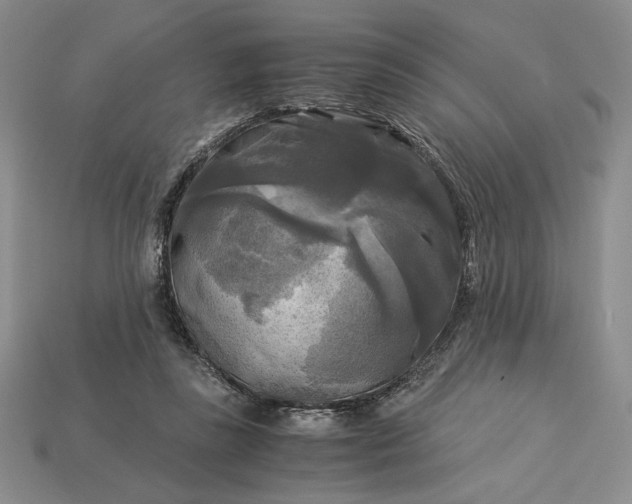 X0000113140355200909181734