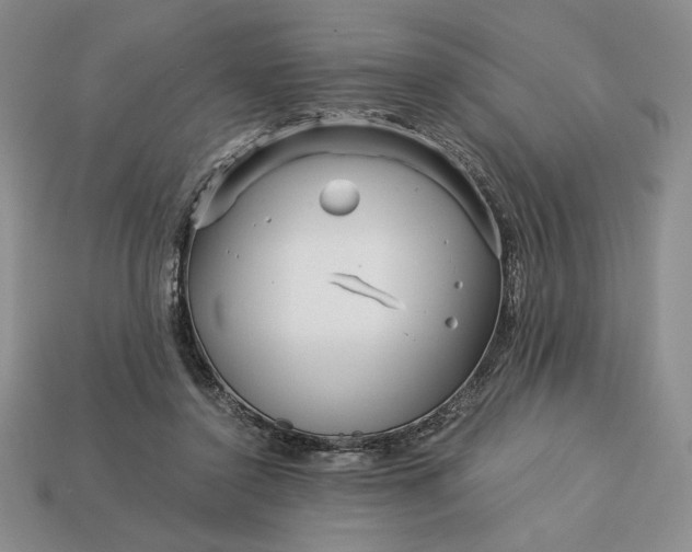 X0000113140356200909181734