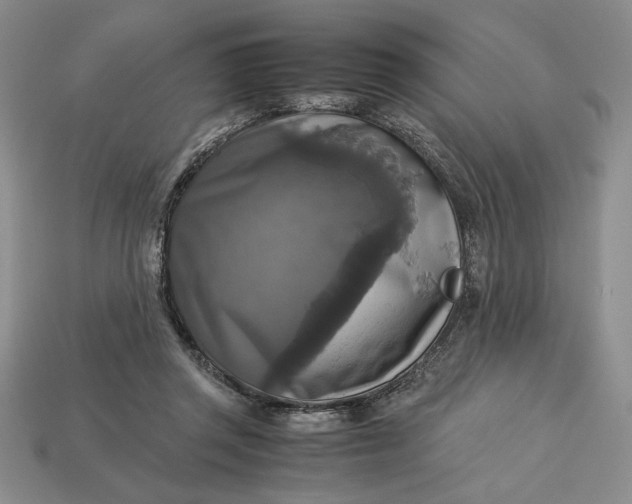 X0000113140357200909181734