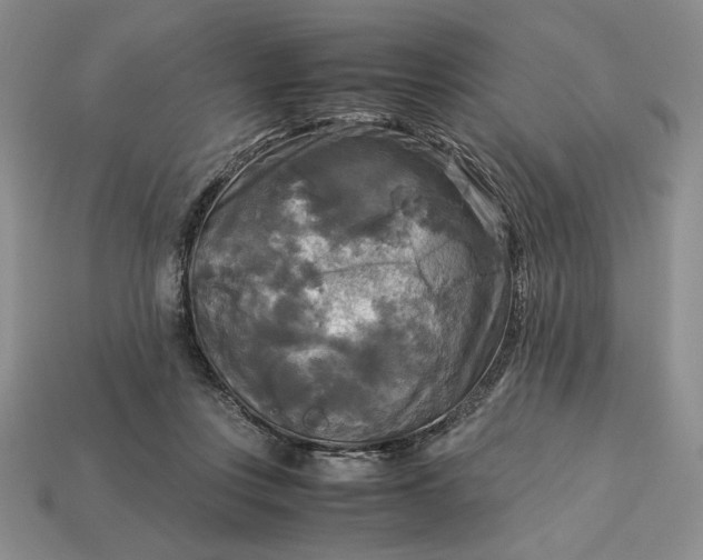 X0000113140359200909181734