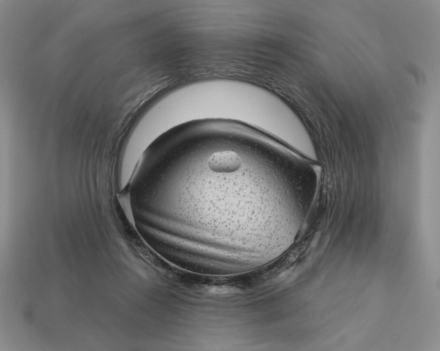 X0000113140360200909181734