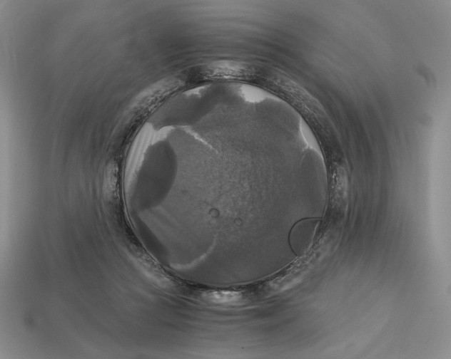 X0000113140361200909181734