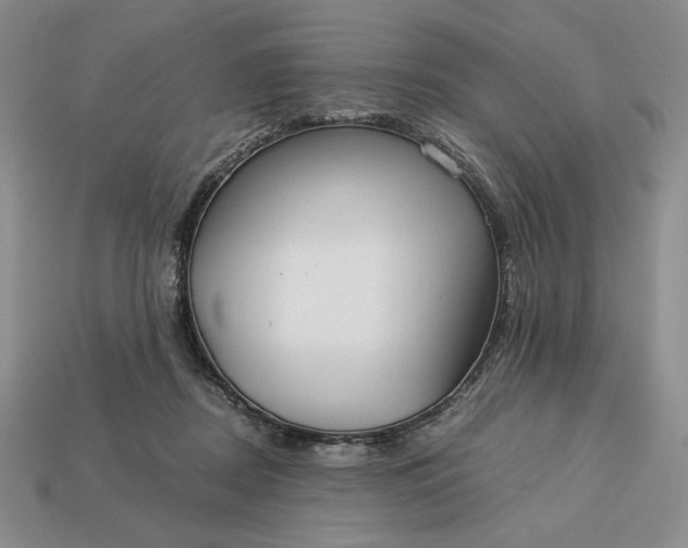 X0000113140362200909181734