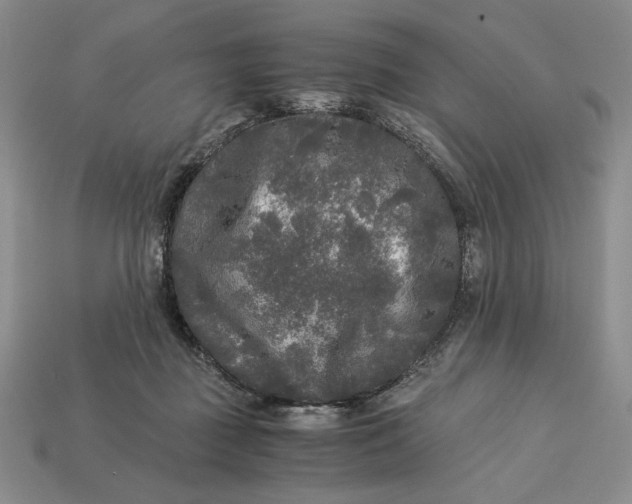 X0000113140363200909181734