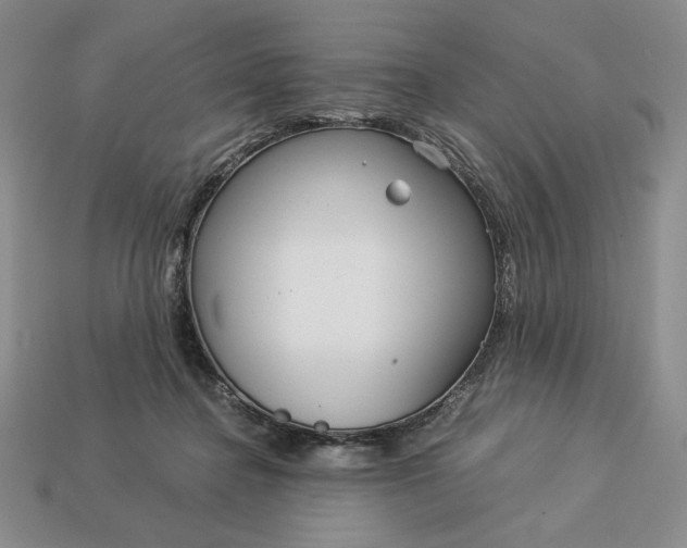 X0000113140364200909181735