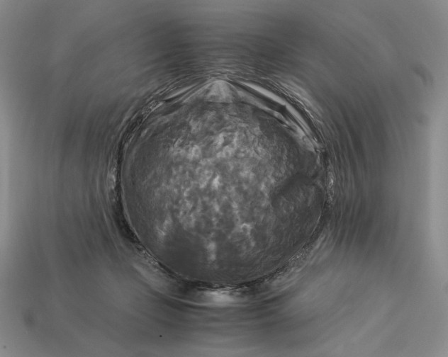 X0000113140365200909181735