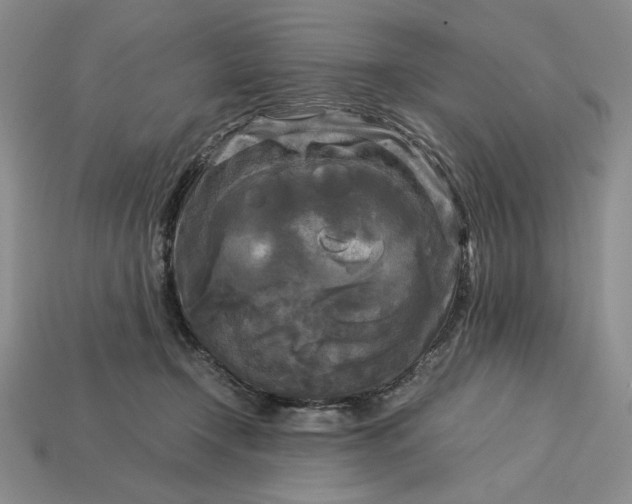 X0000113140366200909181735