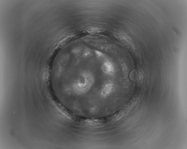 X0000113140367200909181735