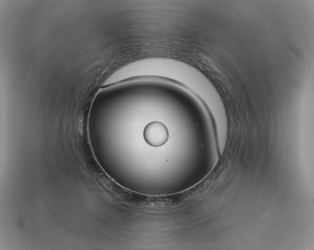 X0000113140368200909181735