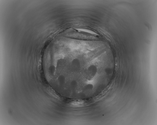 X0000113140369200909181735