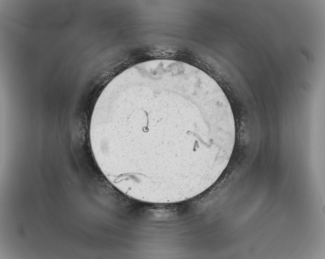 X0000113140370200909181735