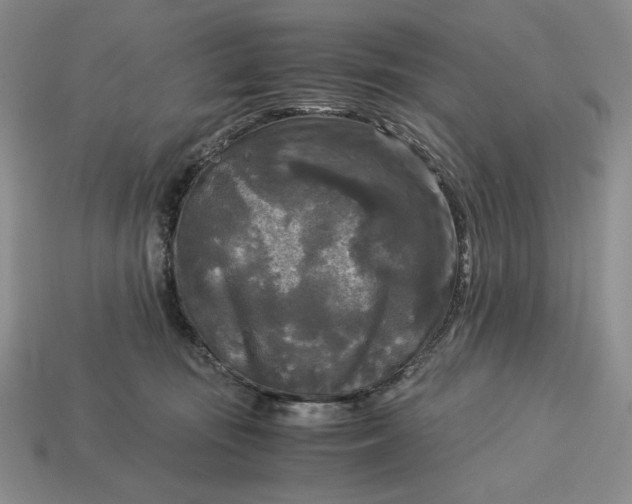 X0000113140371200909181735