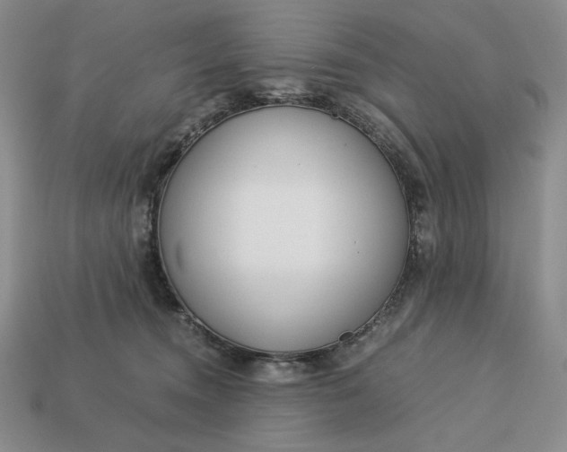 X0000113140372200909181735