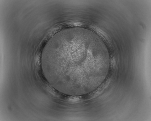 X0000113140373200909181735