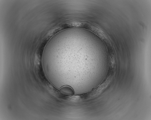 X0000113140374200909181735