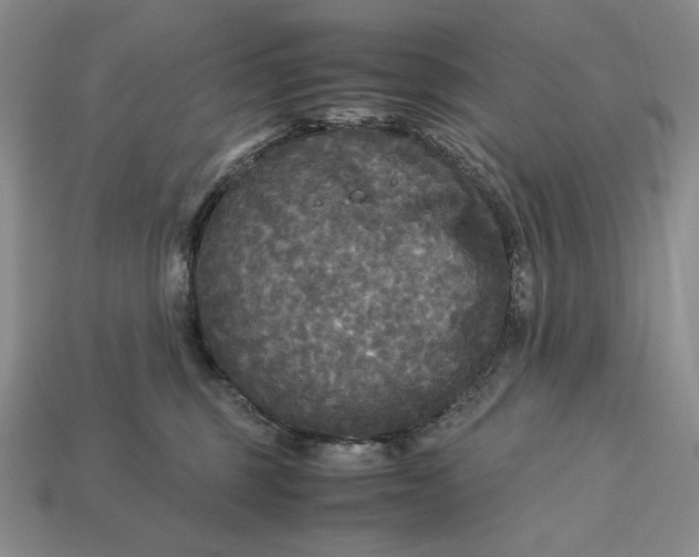 X0000113140375200909181735