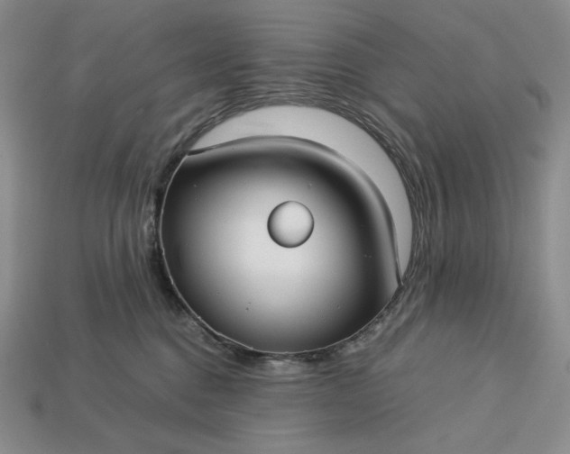 X0000113140376200909181735