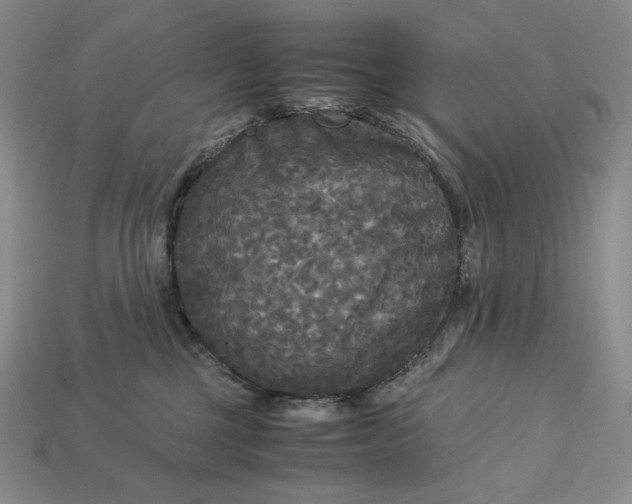 X0000113140377200909181735