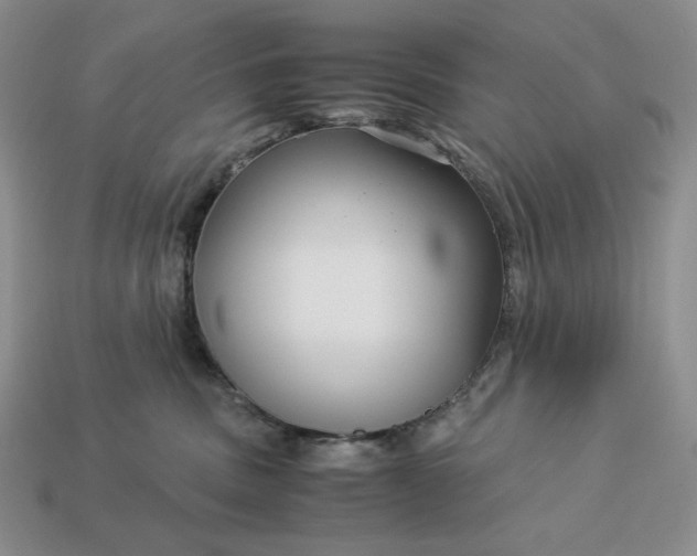 X0000113140379200909181735