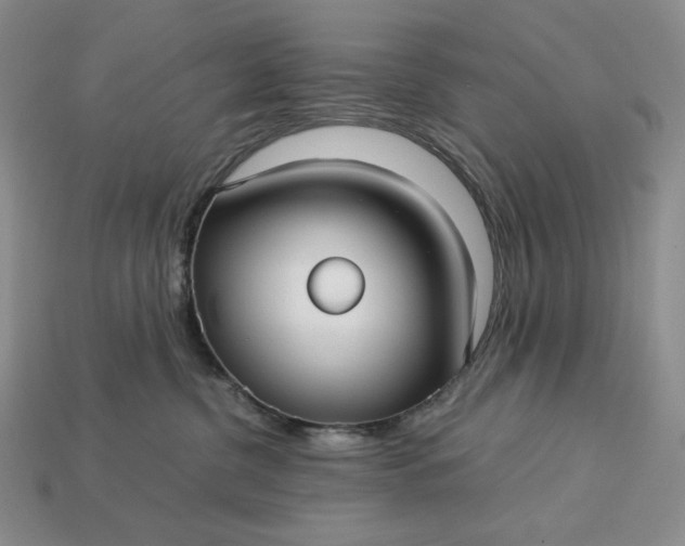 X0000113140380200909181735