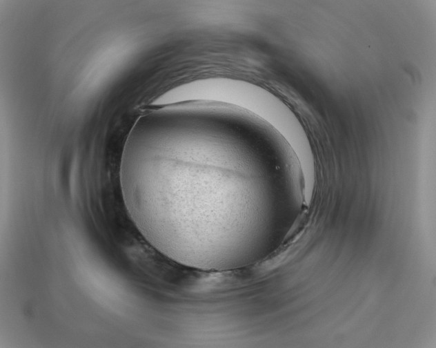 X0000113140382200909181735