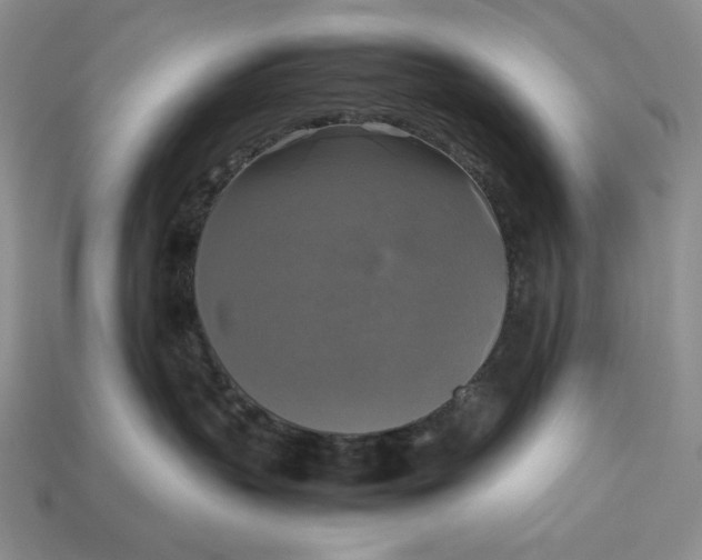 X0000113140383200909181735