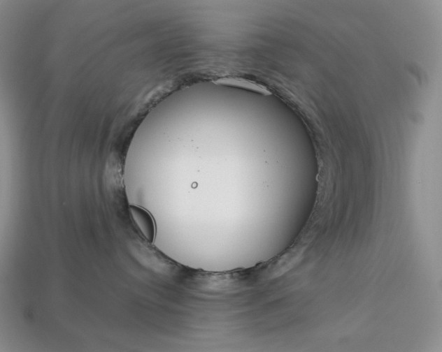 X0000113140384200909181735