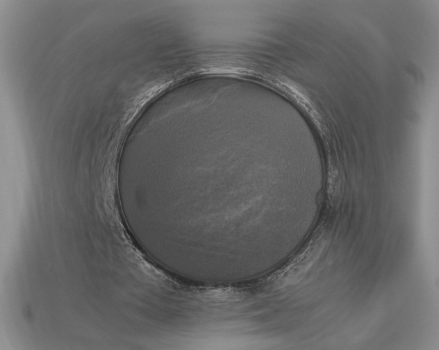 X0000113140385200909181734