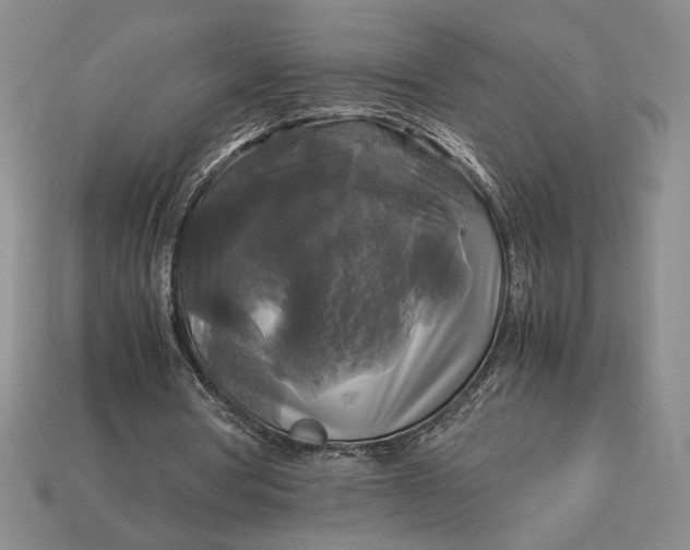 X0000113140386200909181734