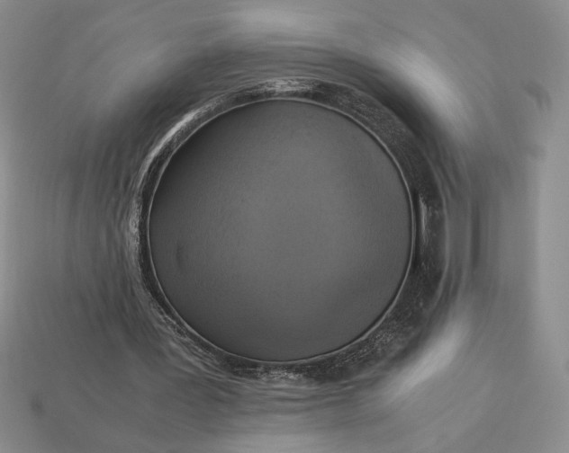 X0000113140387200909181734