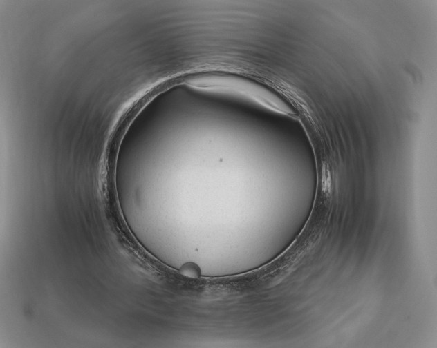 X0000113140388200909181734