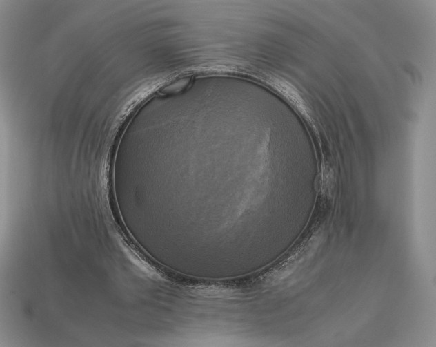 X0000113140389200909181734