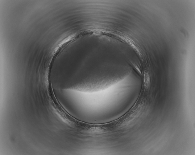 X0000113140390200909181734