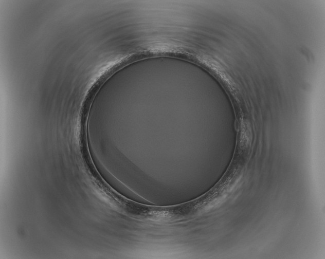 X0000113140391200909181734