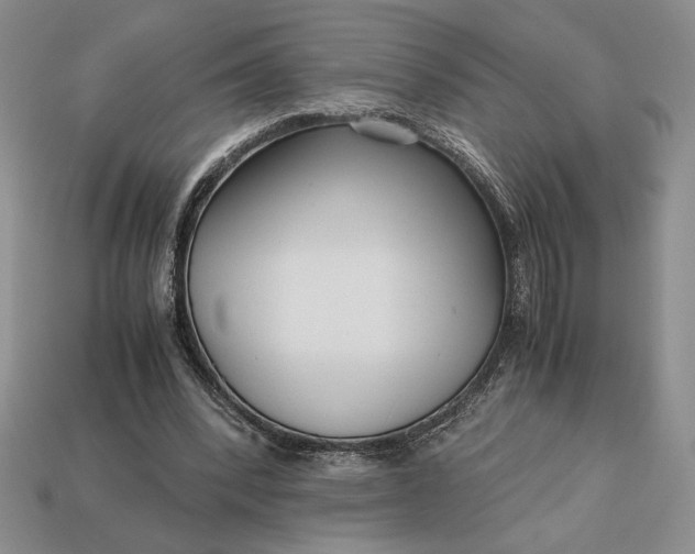 X0000113140392200909181734