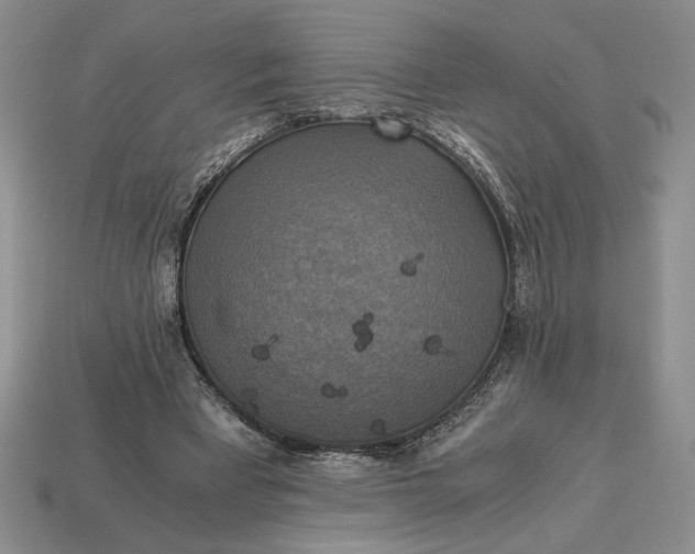 X0000113140393200909181734