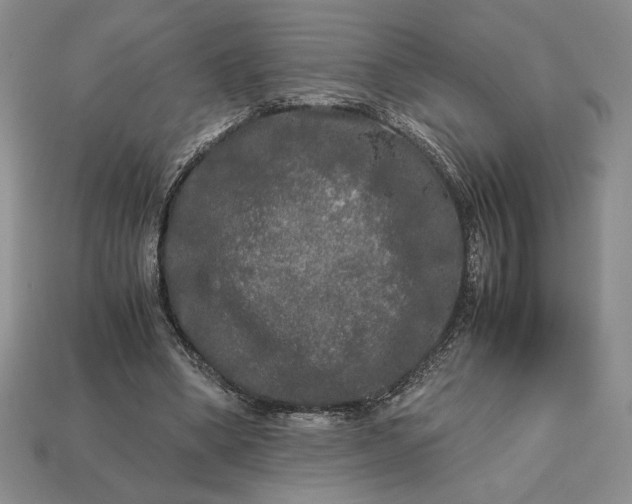 X0000113140394200909181734