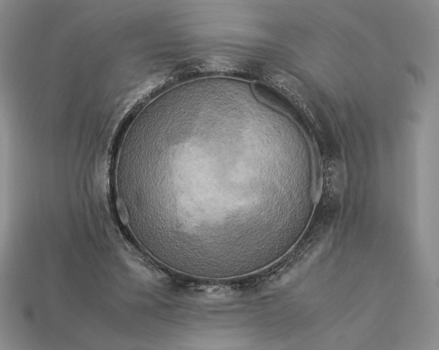 X0000113140395200909181734