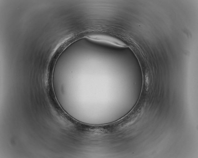 X0000113140396200909181734